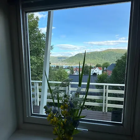 Apartment Near Center *